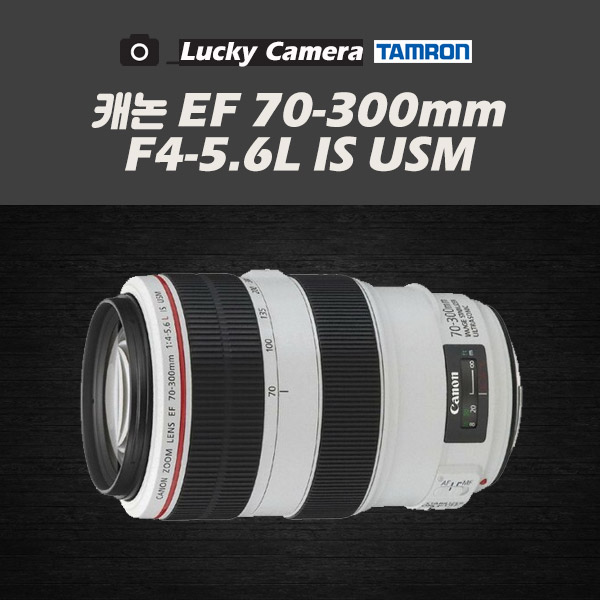 [중고렌즈] 캐논 EF 70-300mm F4-5.6L IS USM 할미백통