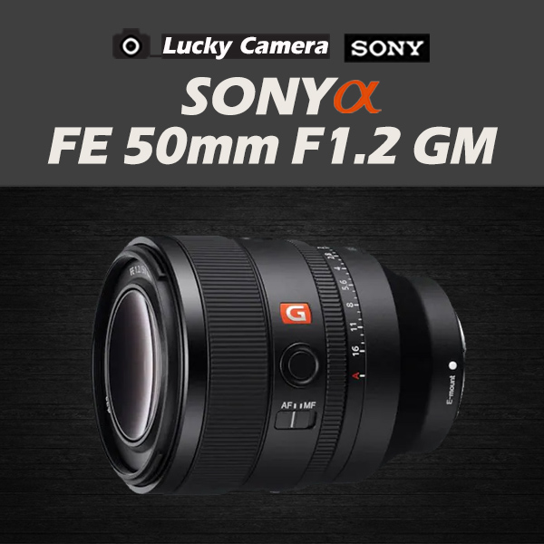 [߰] Ҵ ZEISS Vario Sonnar T 24-70mm F2.8 ZA SSM